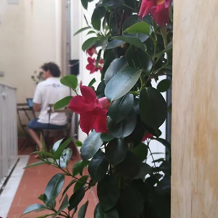 Catania Central Rooms Catania